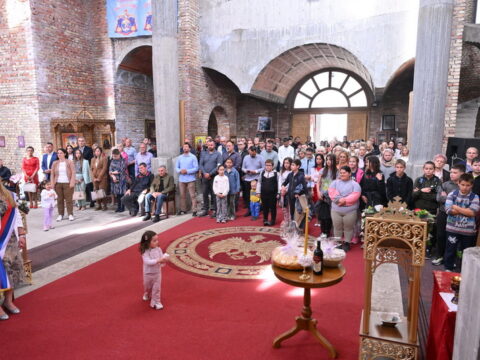 DSC_2702_resize_resize