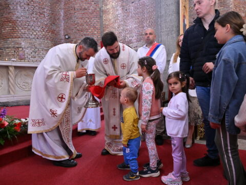 DSC_2819_resize_resize