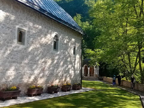 IMG-014bc2ad852bb96a277c6f72035fd2b7-V_resize