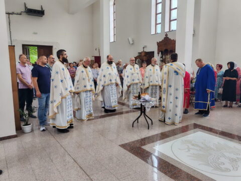 IMG-0273f3a6429bf9570726a46c569be684-V_resize