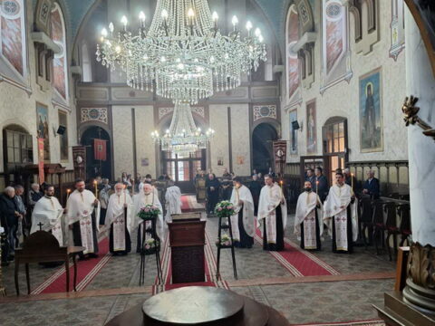 IMG-033153fda164cf7317429d2776f9d1f1-V_resize