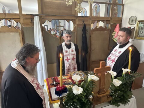 IMG-337b32e89cc9cfe82c78e093fd90d017-V_resize