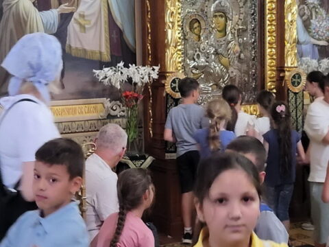 IMG-3915e351303fb0405c6a5ab0183cdc04-V_resize