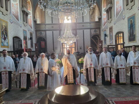 IMG-418e94510f0d8956c81e098def1a516f-V_resize