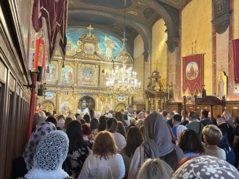 IMG-5c66ffeff6c86dd81447007404b548c9-V_resize