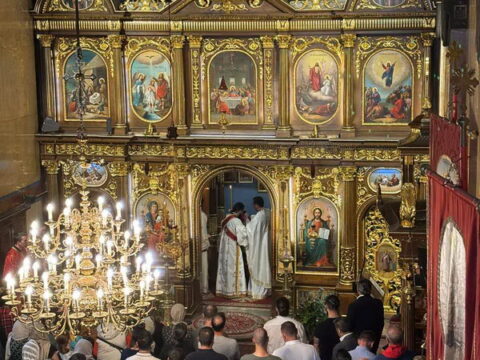 IMG-81fe97d952d4866d7daf202df01eecda-V_resize