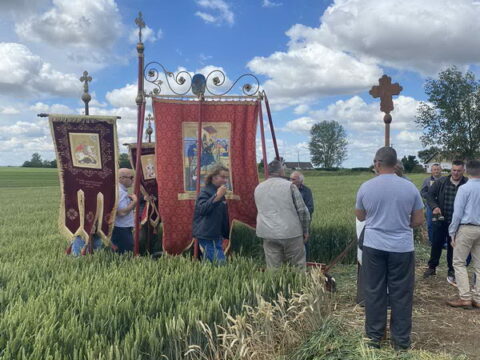 IMG-90873608f25c012e51bdd281431db0c1-V_resize