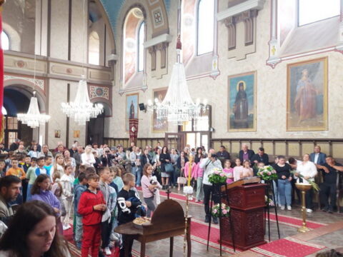 IMG-c5b105d7c6aa3d9866bad46b5417b0b4-V_resize