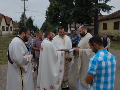 IMG-cf4b1558e8753e8308fc018fe6852ee1-V_resize