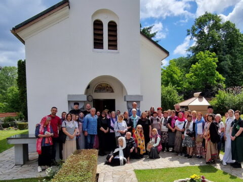 IMG-dadb9102e4aa16aa44ba01e65a7d335c-V_resize