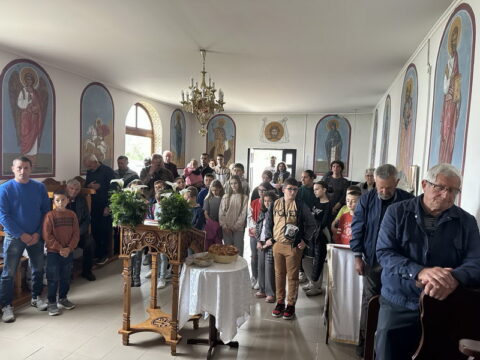 IMG-f41842067651d067cd0734f7283d3a83-V_resize