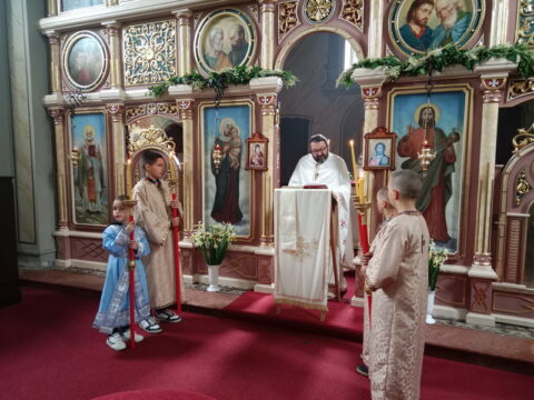 IMG_20250529_092556_resize