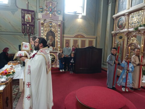 IMG_20250529_094723_resize