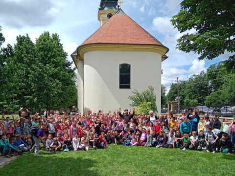 IMG_20250529_115206_resize