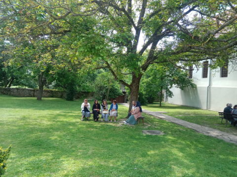 IMG_20250531_114806_resize