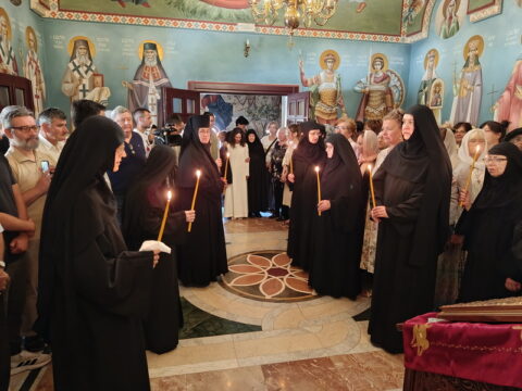 IMG_20250629_090330_resize