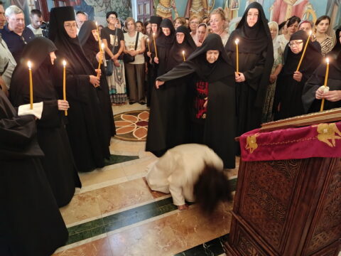 IMG_20250629_090402_resize