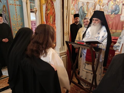 IMG_20250629_090525_resize