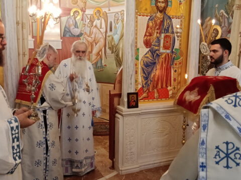 IMG_20250629_102646_resize