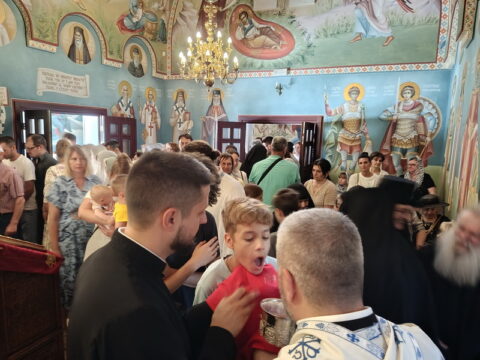 IMG_20250629_110920_resize