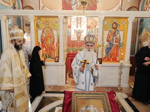 IMG_20250629_111835_resize