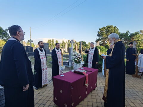 IMG_20250711_191036_resize