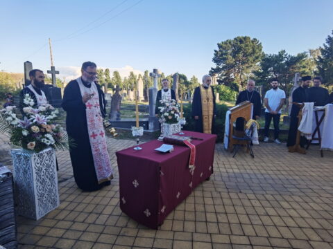 IMG_20250711_191931_resize