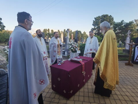 IMG_20250711_193609_resize