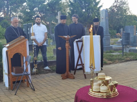 IMG_20250711_194538_resize