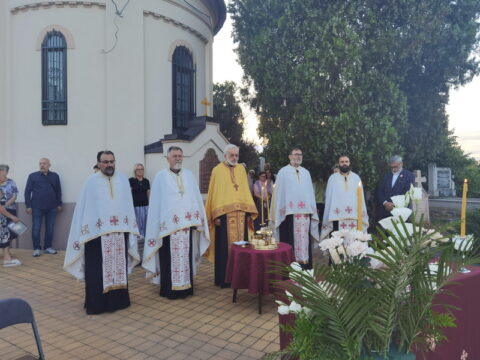 IMG_20250711_195132_resize