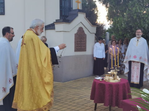 IMG_20250711_195610_resize