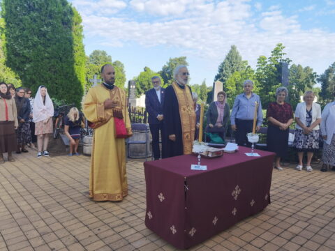 IMG_20250712_074223_resize