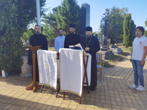 IMG_20250712_074424_resize