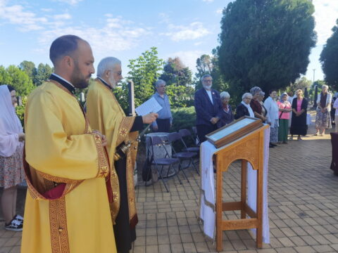 IMG_20250712_075415_resize