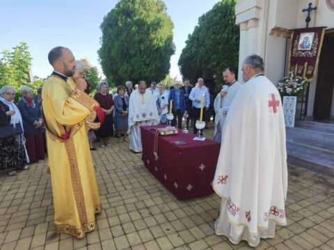 IMG_20250712_083123_resize