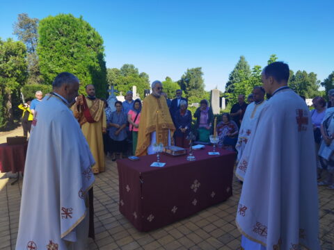 IMG_20250712_083242_resize