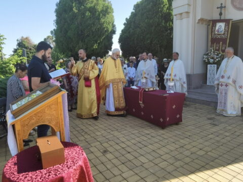 IMG_20250712_085246_resize