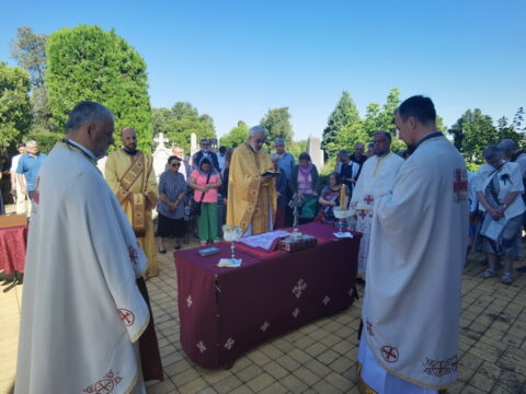 IMG_20250712_090645_resize