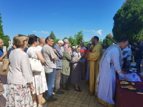 IMG_20250712_094305_resize