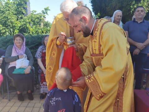 IMG_20250712_095225_resize