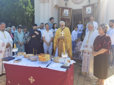 IMG_20250712_100643_resize