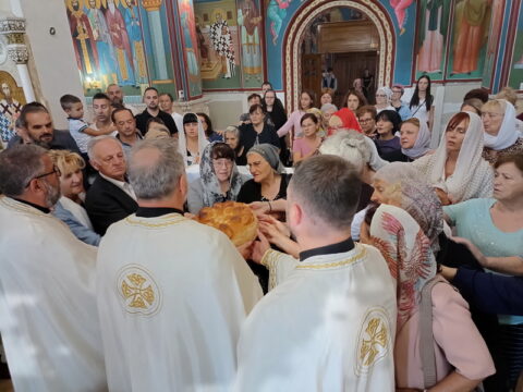 IMG_20250730_092503144_HDR_resize