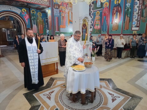 IMG_20250804_092803910_HDR_resize