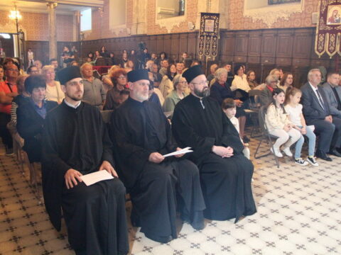 IMG_4428_resize_resize