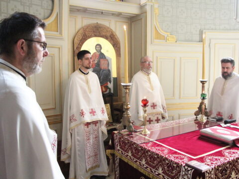 IMG_4550_resize_resize