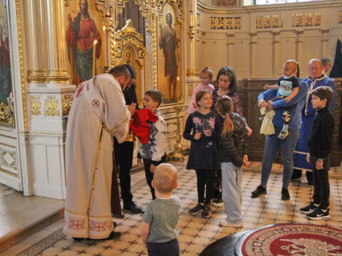 IMG_4606_resize_resize