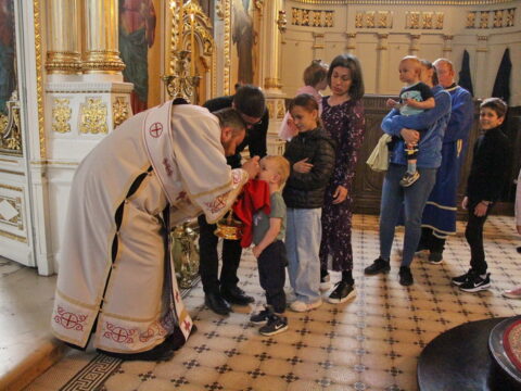 IMG_4608_resize_resize