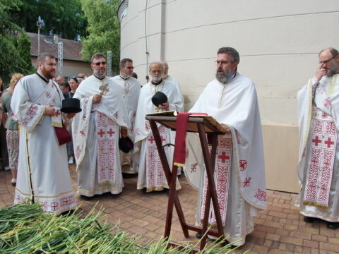 IMG_4637_resize_resize