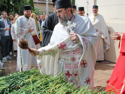 IMG_4657_resize_resize