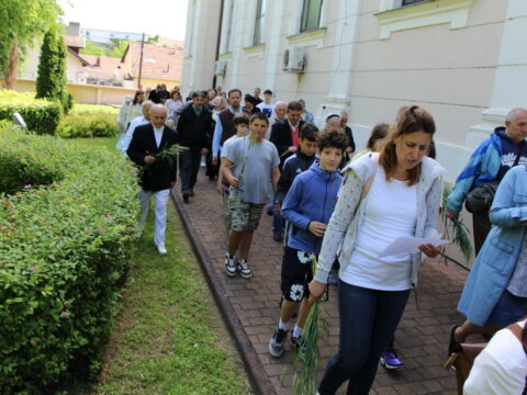 IMG_4671_resize_resize